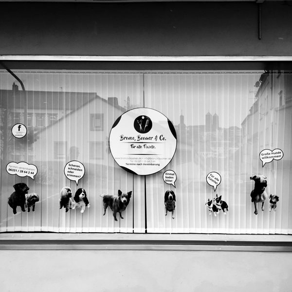 Bronco-Boomer-Hundefriseur-Pirmasens-Schaufenster